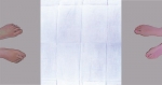 <h4>Magorzata Bielecka <em>Tryptyk, </em>akryl, 80x80cm, 2010<br /></h4>
